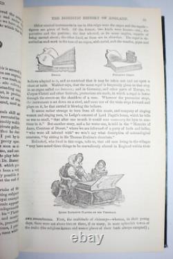 Magazine Domestique des Anglaises de 1861 11 Illustrations en Couleur Mode Vestimentaire