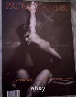 Provocateur Gay Vol 1 #1 Numéro de Première Skrebneski Churilla Rogeberg Cloutier