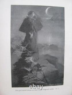 Rare 1895 1ère Et Uniquement Édition Art Leyendecker Illustrated Book One Fair Daughter