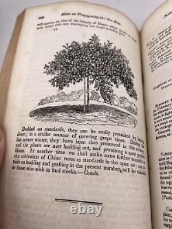 Rareté 1835 Volume Un Le Magazine des Jardiniers Américains Registre livre en cuir et en planches