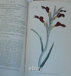 William Curtis / Botanical Magazine Ou Flower-garden Affiché Dans Lequel 1er 1796
