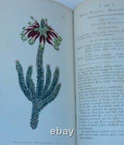 William Curtis / Botanical Magazine Ou Flower-garden Affiché Dans Lequel 1er 1796